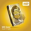 WD Gold 1TB WD1005FBYZ, 7200rpm, 128MB