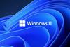Microsoft Windows 11 Pro 64bit, English, FPP Licenca (HAV-00164)